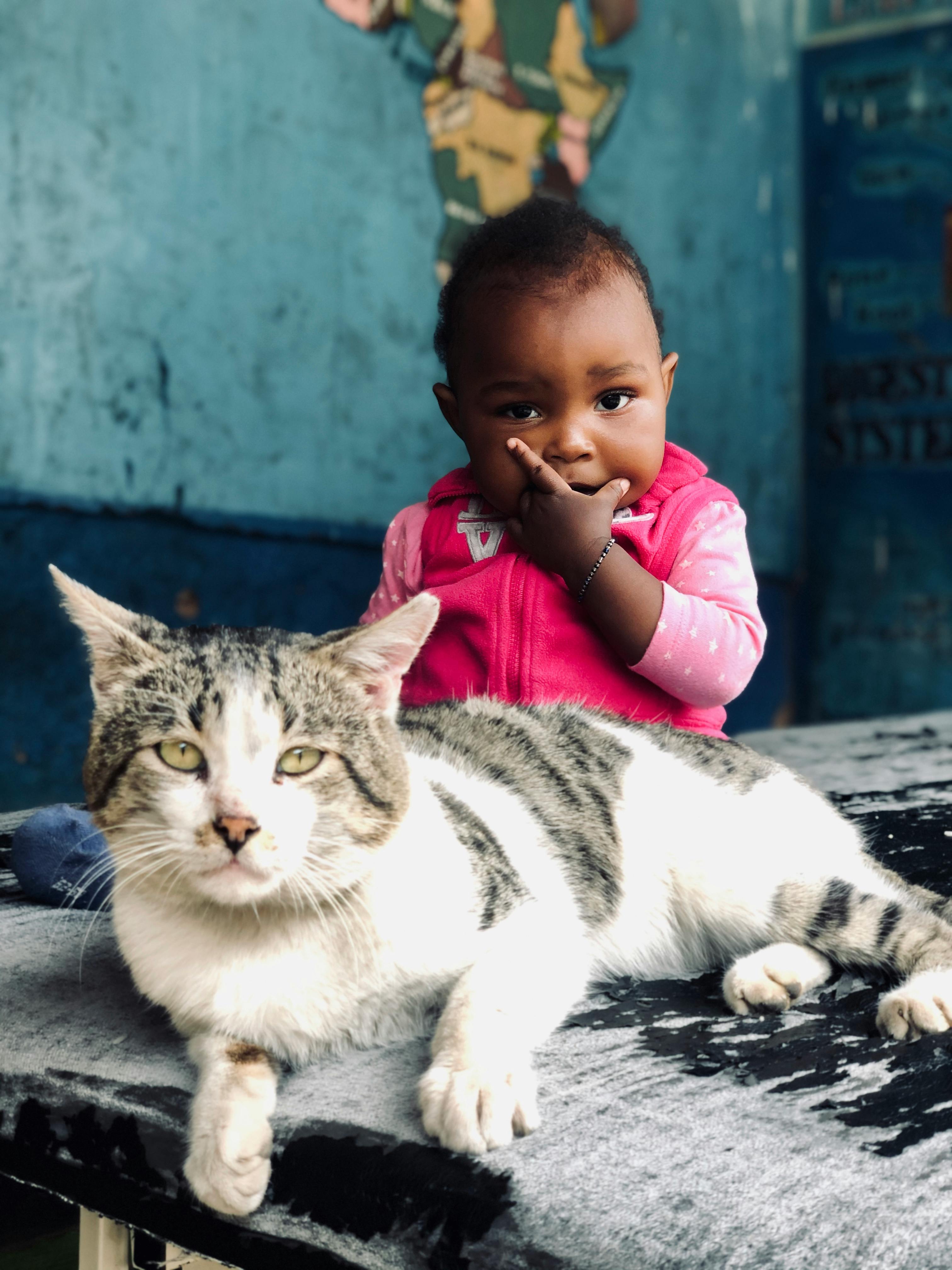 Equipamiento de entrenamiento para pádel: escalera de agilidad, bandas de resistencia y conos organizados